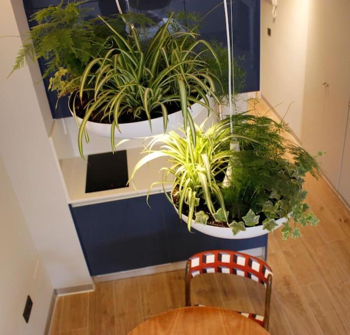 Apartamento Por Temporada Centro Diseno Мадрид Экстерьер фото