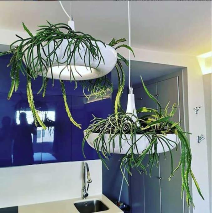 Apartamento Por Temporada Centro Diseno Мадрид Экстерьер фото
